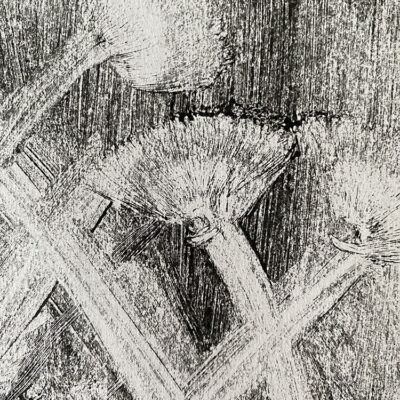 Monotypia