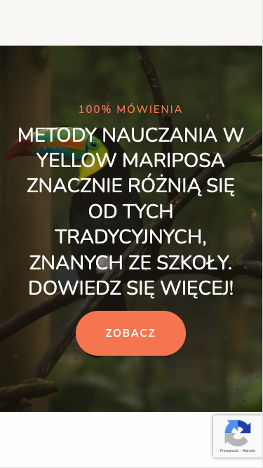 Yellow Mariposa | strona internetowa